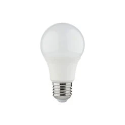 Castorama Ampoule LED Diall 8W Blanc
