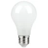 Castorama Ampoule LED GLS E27 806lm 5.9W = 60W Ø6.6cm Diall Blanc Chaud Et Blanc Neutre