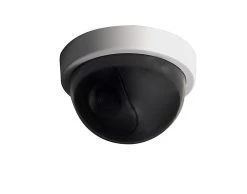 Castorama Caméra Factice Intérieure Chacon