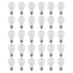 Castorama Lot 30 Ampoules LED Fiall E27 8W 806lm Blanc Chaud
